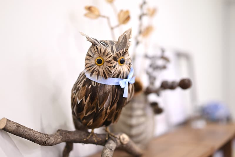 フクロウのオブジェの写真