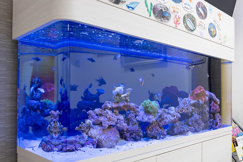 四日市眼科クリニックの水槽の写真