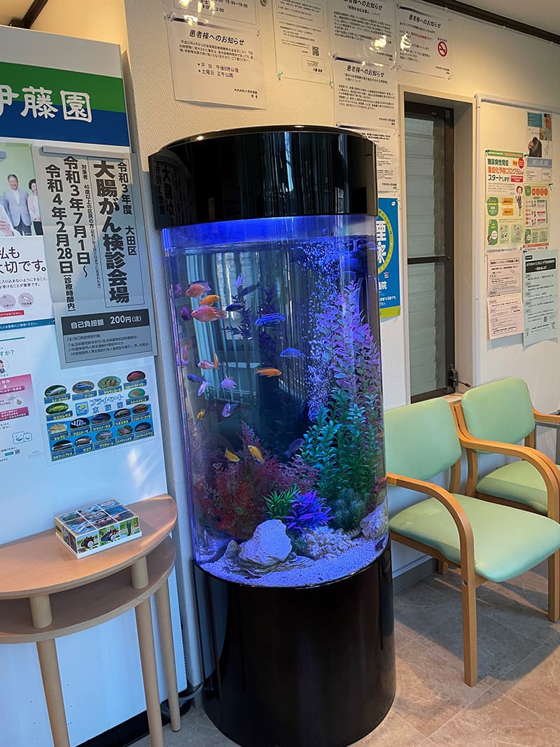 「田園調布水族館」の写真